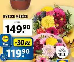 Lidl KYTICE MĚSÍCE nabídka