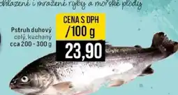 Jip Pstruh duhový nabídka