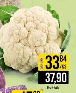 Jip Květák nabídka