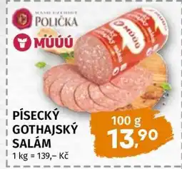 Terno Písecký gothajský salám nabídka