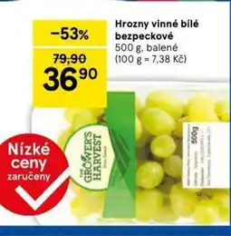 Tesco Hrozny vinné bílé bezpeckové nabídka