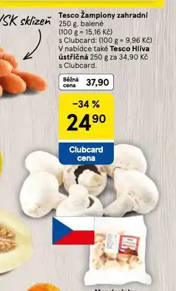 Tesco Žampiony zahradní nabídka