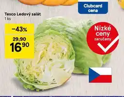 Tesco Ledový salát nabídka