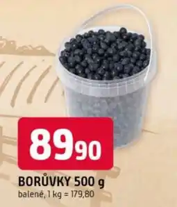 Trefa Borůvky nabídka