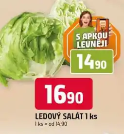 Trefa Ledový salát nabídka