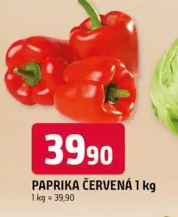 Trefa Paprika červená nabídka