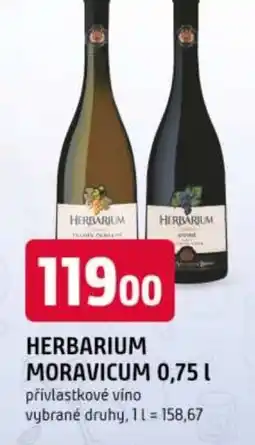 Trefa HERBARIUM MORAVICUM nabídka