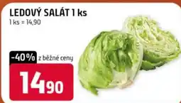 Trefa Ledový salát nabídka