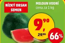 Penny Market Meloun vodní nabídka