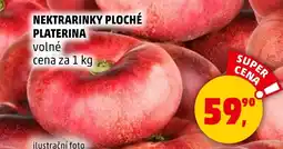 Penny Market Nektrarinky ploché platerina volné nabídka