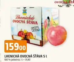 Trefa LHENICKÁ OVOCNÁ ŠŤÁVA 5 l nabídka