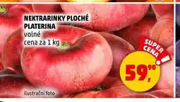 Penny Market Nektarinky ploché nabídka