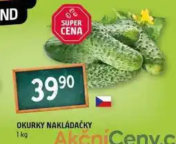 Terno Okurky nakládačky 1 kg nabídka