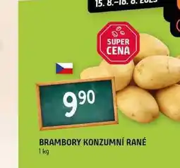 Terno Brambory konzumní rané 1kg nabídka