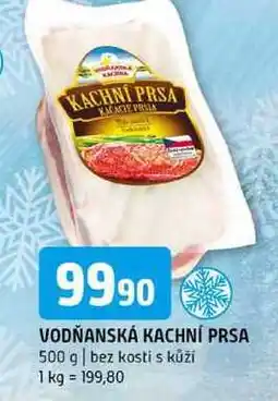 Terno Vodňanská Kachna Kachní prsa 500g nabídka