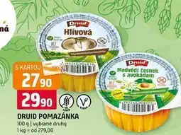 Terno Druid pomazánka 100 g vybrané druhy nabídka