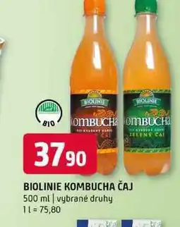 Terno Biolinie kombucha čaj 500 ml vybrané druhy 1l nabídka