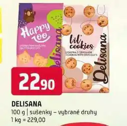 Terno DELISANA 100 g sušenky vybrané druhy nabídka