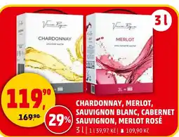 Penny Market Chardonnay, Merlot, sauvignon blanc, Cabernet sauvignon, Merlot rosé nabídka