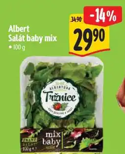 Albert Albert Salát baby mix 100 g nabídka