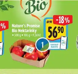Albert Nature's Promise Bio Nektarinky 500 g nabídka