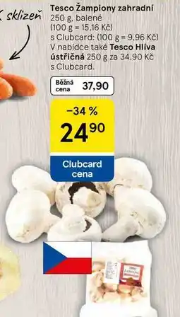 Tesco Tesco žampiony zahradní sklizeň, 250 g nabídka