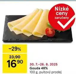 Tesco Gouda 48%, 100 g nabídka