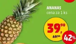 Penny Market ANANAS nabídka