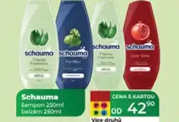 Tamda Foods Schauma nabídka