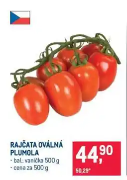 Makro RAJČATA OVÁLNÁ PLUMOLA nabídka