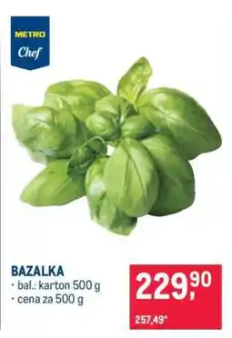 Makro Bazalka nabídka