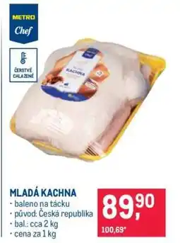 Makro MLADÁ KACHNA nabídka
