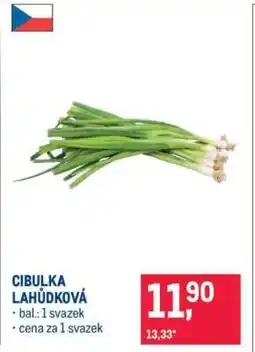Makro CIBULKA LAHŮDKOVÁ nabídka