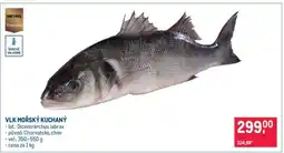 Makro Vlk mořský kuchaný nabídka