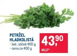 Makro Petržel hladkolistá nabídka