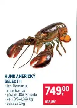 Makro HUMR AMERICKÝ SELECT II nabídka
