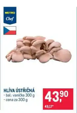Makro Hlíva ústřičná nabídka