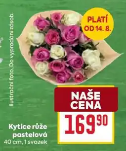 Billa Kytice Růže pastelová nabídka