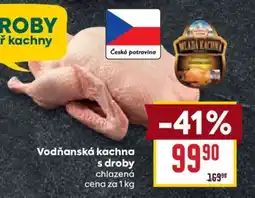 Billa Vodňanská kachna s droby nabídka