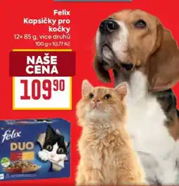 Billa Felix kapsičky pro kočky nabídka