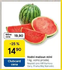 Tesco Vodní meloun mini nabídka