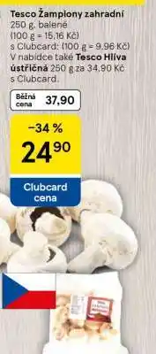 Tesco Tesco Žampiony zahradní nabídka