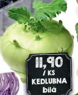 Jip Kedlubna bílá nabídka