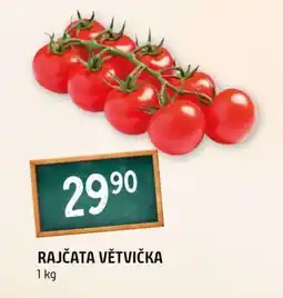 Terno RAJČATA VĚTVIČKA nabídka