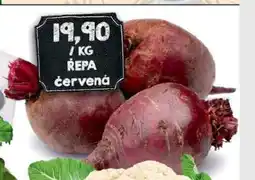 Jip Řepa červená nabídka