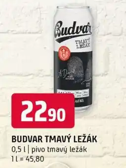 Terno Budvar Tmavý ležák nabídka