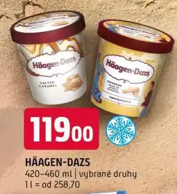 Terno Häagen Dazs nabídka