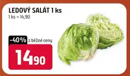 Terno Ledový salát 1 ks nabídka