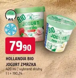 Terno HOLLANDIA BIO JOGURT ZMRZKA nabídka