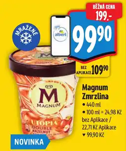 Albert Magnum Zmrzlina nabídka